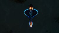 Rabbit Ray