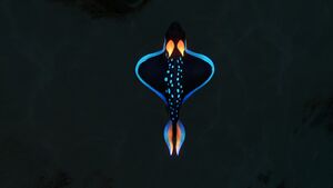 RabbitRay5.jpg