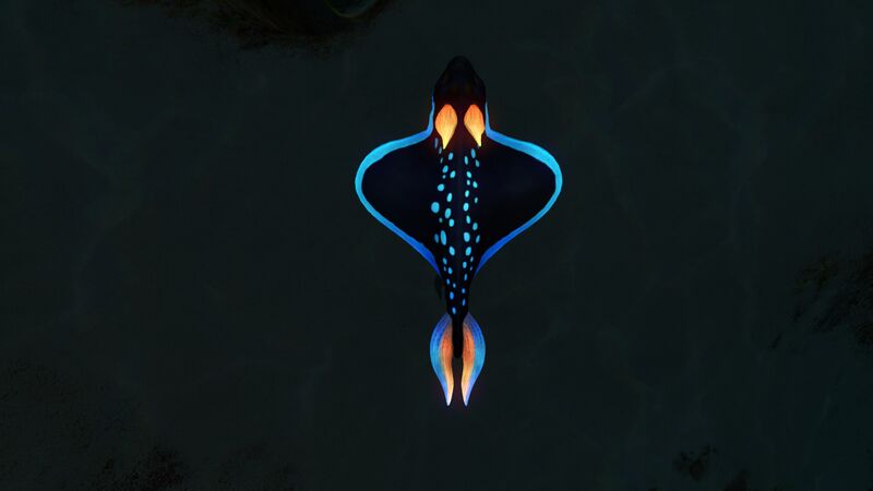 File:RabbitRay5.jpg