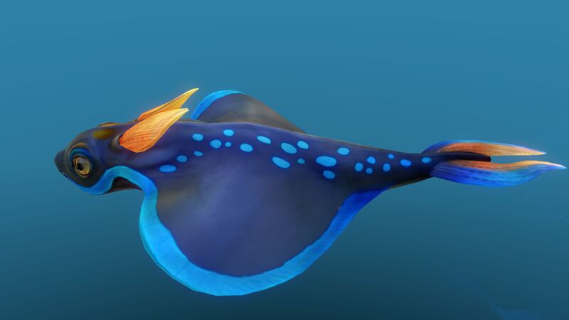 File:Rabbitray 10.jpg