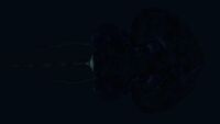 Further bioluminescence