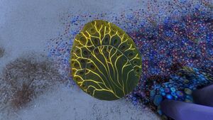 Shellplate2.jpg