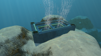 UnderwaterIslandsPipeEntrance.png