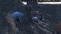 Thumbnail for version as of 13:37, 6 August 2021