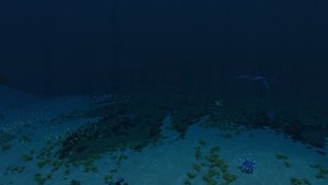 Dunes STP Transition.png