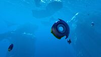 Life under the Arctic sea