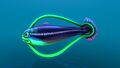 Hoopfish up close