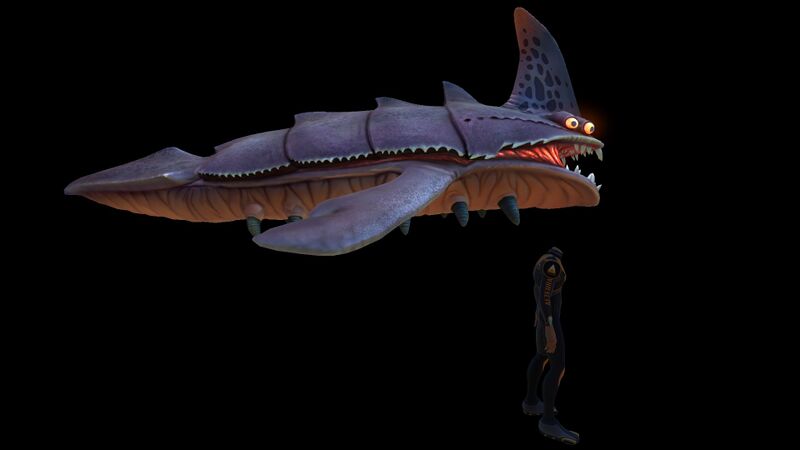 File:SandShark10.jpg