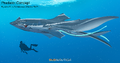 Thumbnail for version as of 16:16, 3 August 2018
