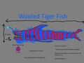 Wooled Tiger Fish Concept "Perento Fiantago"