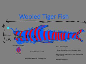 Wooled Tiger Fish Concept.jpg