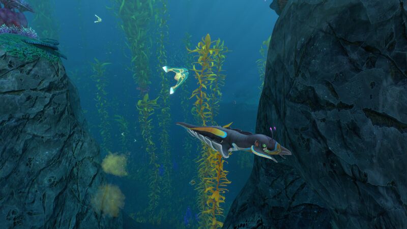 File:AKF Pinnacarid.jpg