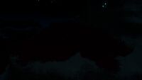 Night view