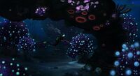 Bulb Zone at night - by Cory Strader
