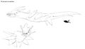 Thumbnail for version as of 13:55, 12 August 2021