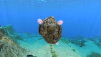 Some Floaters holding up a large rock