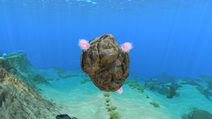 Floater on rock Gallery.png