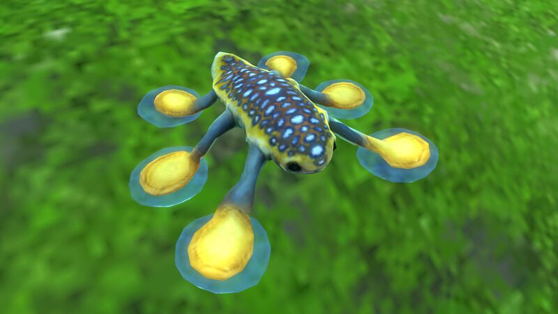 File:HOVERFISH 3.jpg