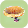 Thumbnail for version as of 20:11, 24 April 2019