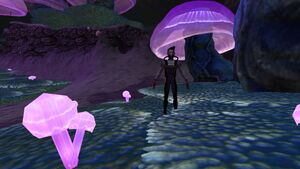 Jelly Shroom Caves (4).jpg