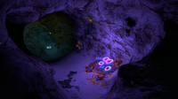 Some Acid Mushrooms in the darker parts of the Safe Shallows Caves