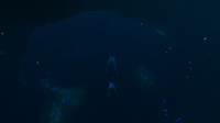 Another view inside the tunnel, featuring two Sea Treaders