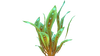 Green Reeds Flora.png