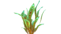 Thumbnail for version as of 15:08, 19 October 2015