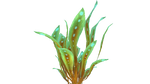 Green Reeds Flora.png