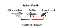 Stalker Family.png