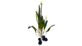 Thumbnail for version as of 03:41, 12 February 2016