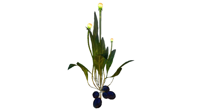 File:Vegetable Plant Flora.png