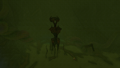 Thumbnail for version as of 15:13, 6 August 2021