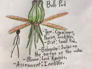 Bulb pod.jpg