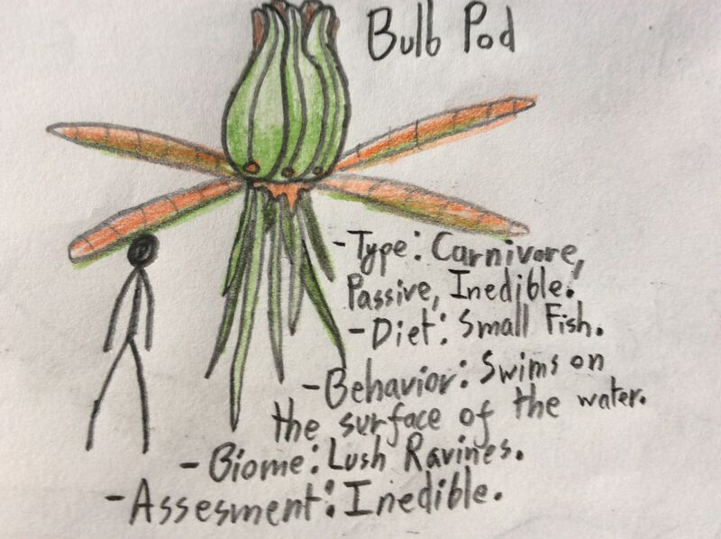 File:Bulb pod.jpg