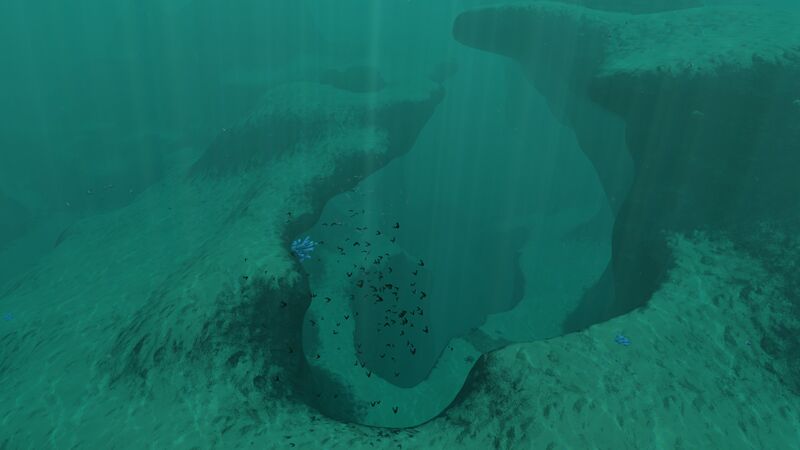 File:DSR12.jpg
