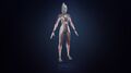 Highpoly model on Sketchfab