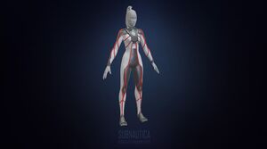 HighpolyPPsuitModel.jpeg