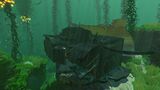 Kelp Forest Wreck (17).jpg