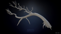 Lost River Tree Highpoly Model from Sketchfab