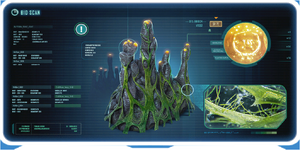 PyrocoralEncy.PNG