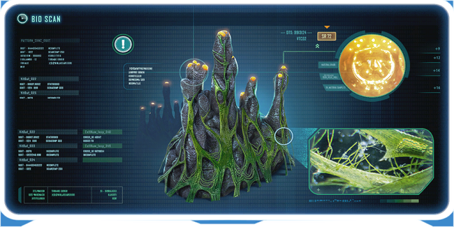 PyrocoralEncy.PNG