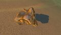 Thumbnail for version as of 17:08, 21 April 2017