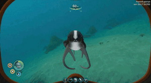 CUDDLEFISH MAGIC.gif