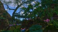 More of the thick undergrowth