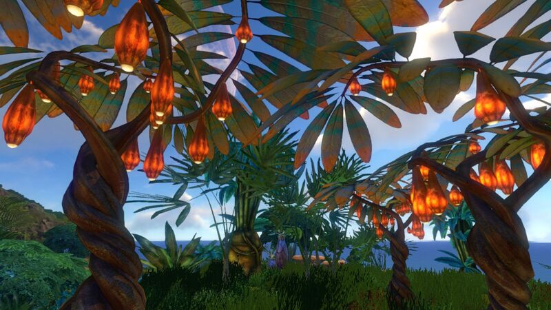 File:HangingFruitTree.jpg