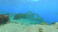 Thumbnail for version as of 16:44, 23 May 2017