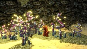 Sparse Reef (4).jpg