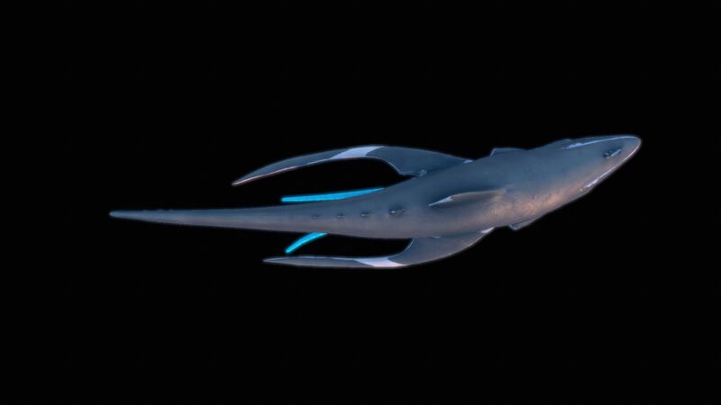 File:SquidsharkTop.jpg
