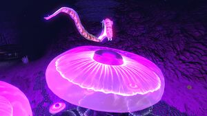 Crabsnake7.jpg